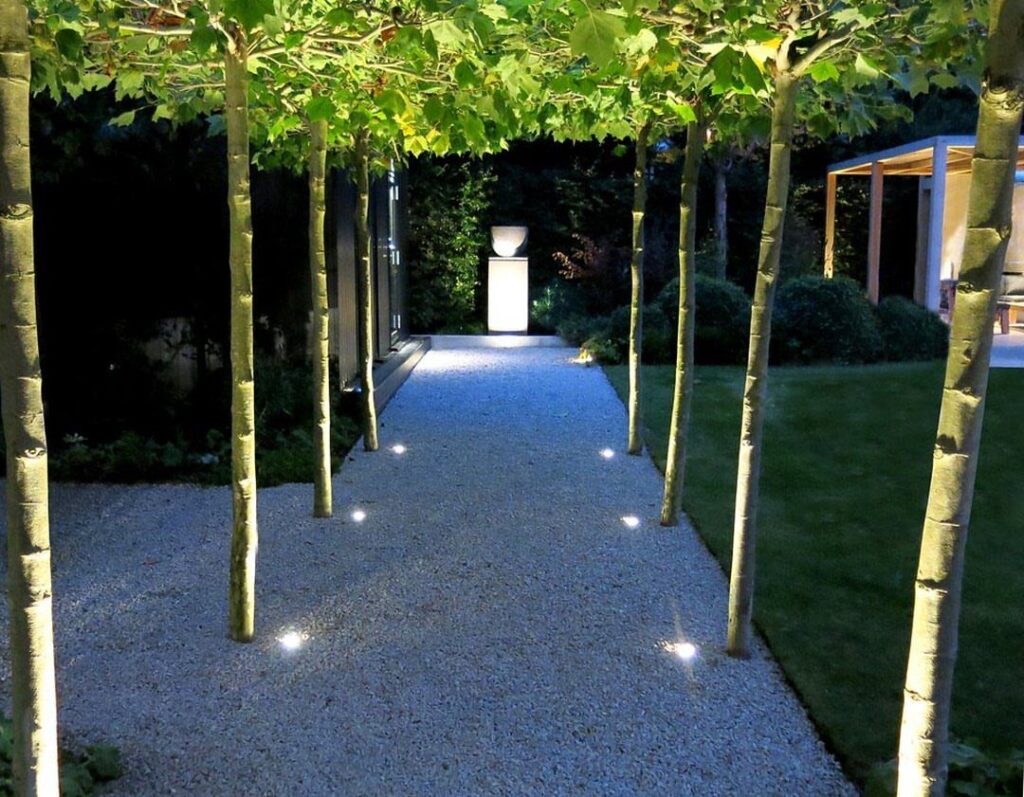 Slender trees line a lit gravel path leading to a white pedestal with a bowl.