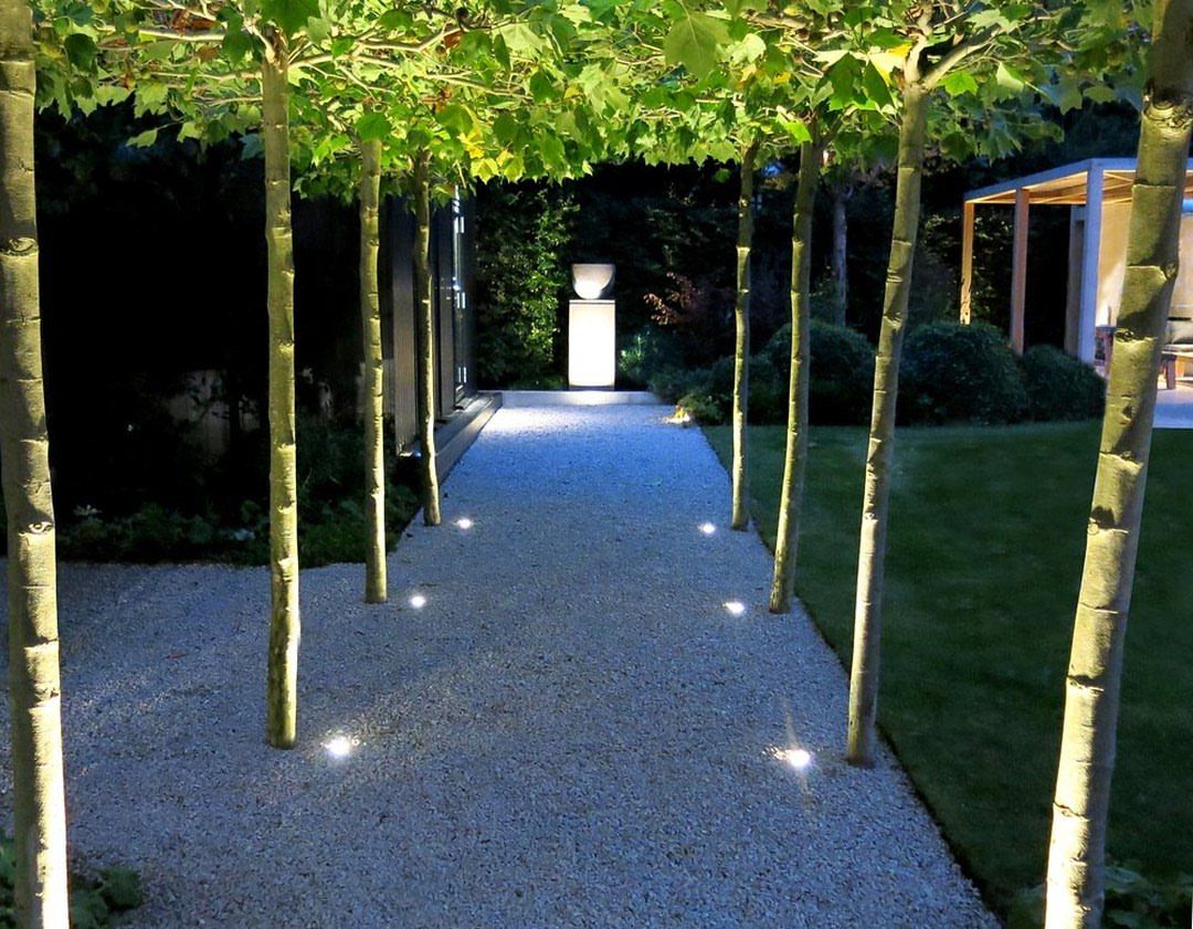 Slender trees line a lit gravel path leading to a white pedestal with a bowl.
