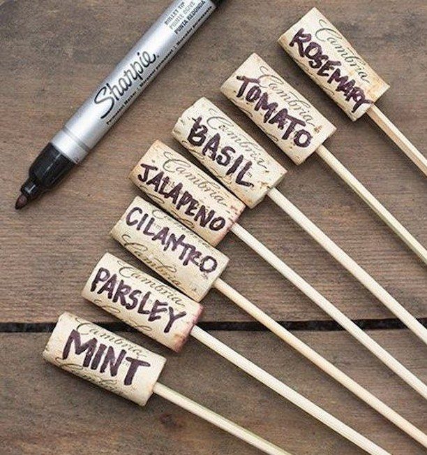 Wine corks on wooden skewers labeled with various herb and vegetable names on a wooden surface.